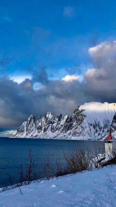 Rural Life On The Rough Coastline Of Senja Feriehus Skaland