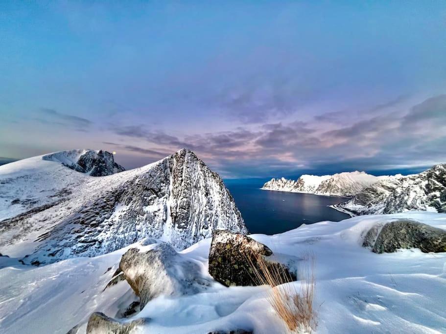 Rural Life On The Rough Coastline Of Senja *
