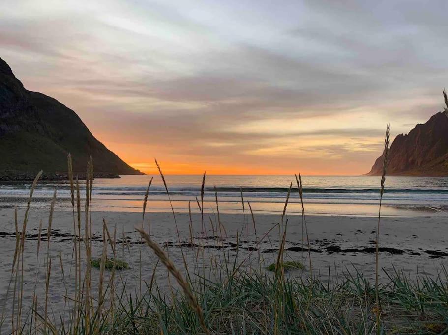 Rural Life On The Rough Coastline Of Senja Skaland