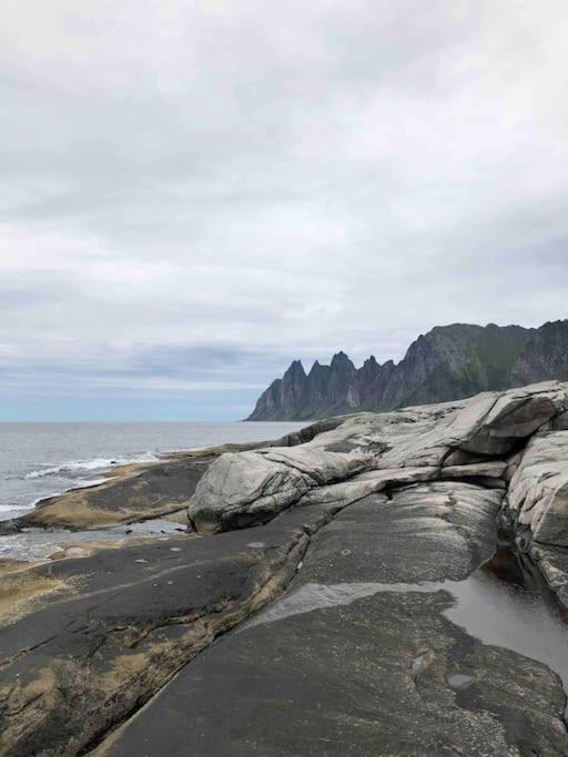 Rural Life On The Rough Coastline Of Senja Feriehus