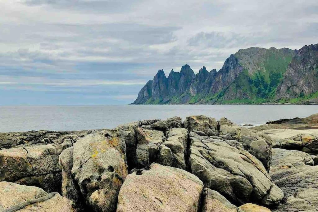 Rural Life On The Rough Coastline Of Senja Feriehus Skaland