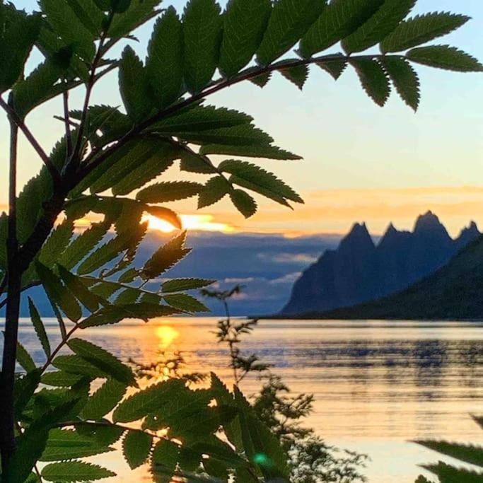 Rural Life On The Rough Coastline Of Senja