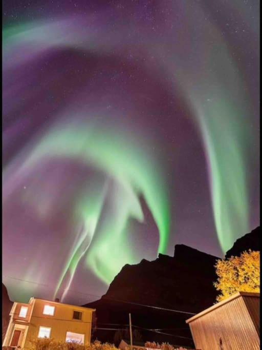Rural Life On The Rough Coastline Of Senja * Skaland