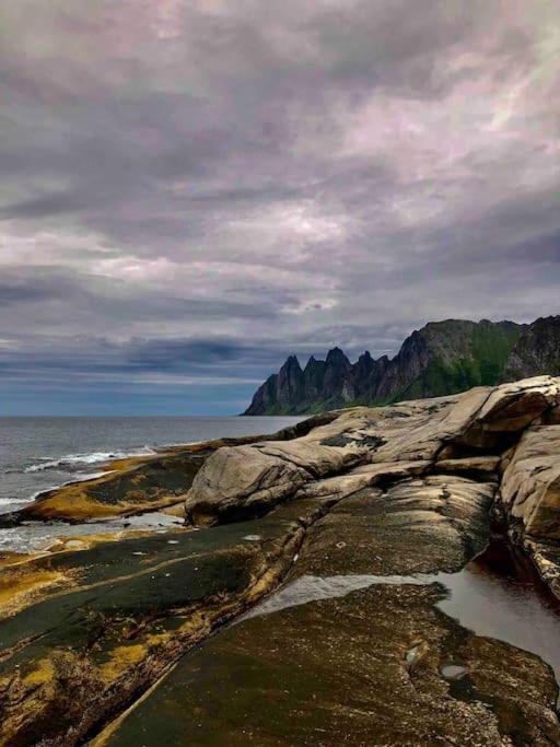 Feriehus Rural Life On The Rough Coastline Of Senja *